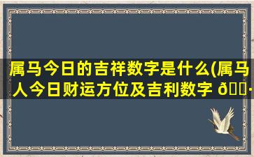 属马今日的吉祥数字是什么(属马人今日财运方位及吉利数字 🕷 和开运颜色)